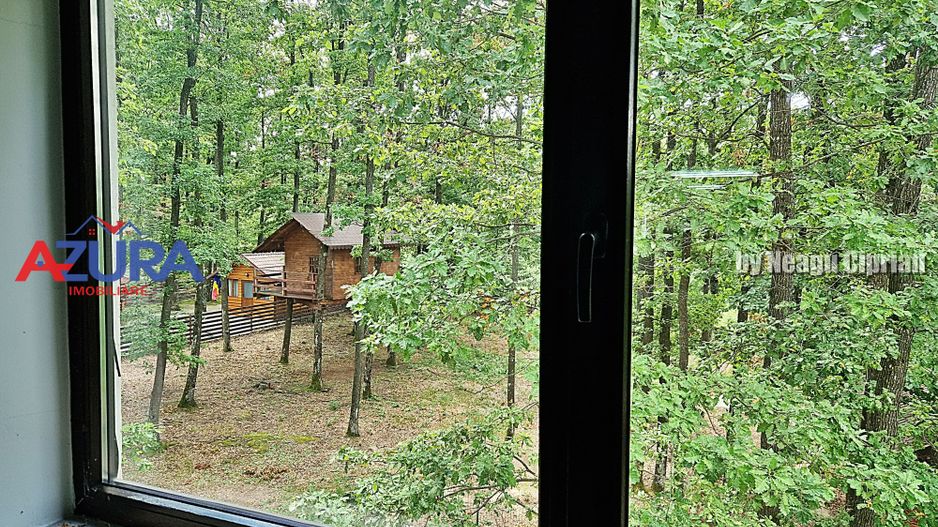 Casă de vacanță în pădure, 10 km de Pitești - Babana - Poză 10