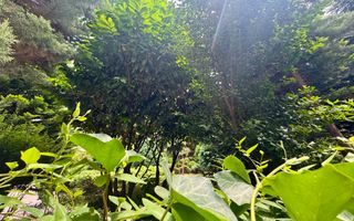 Apartament cu 5 camere parter + Gradina 100mp // Herastrau - Aviatiei - Poză 41