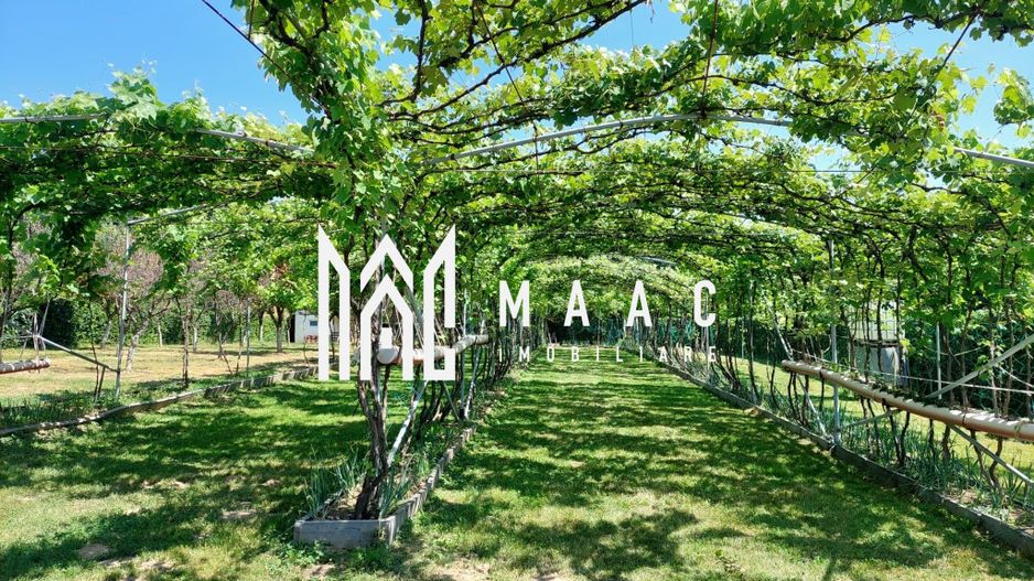 Teren | Intravilan 2.166 Mp | Construcție existenta |  Pădurea Dumbrava - Poză 1