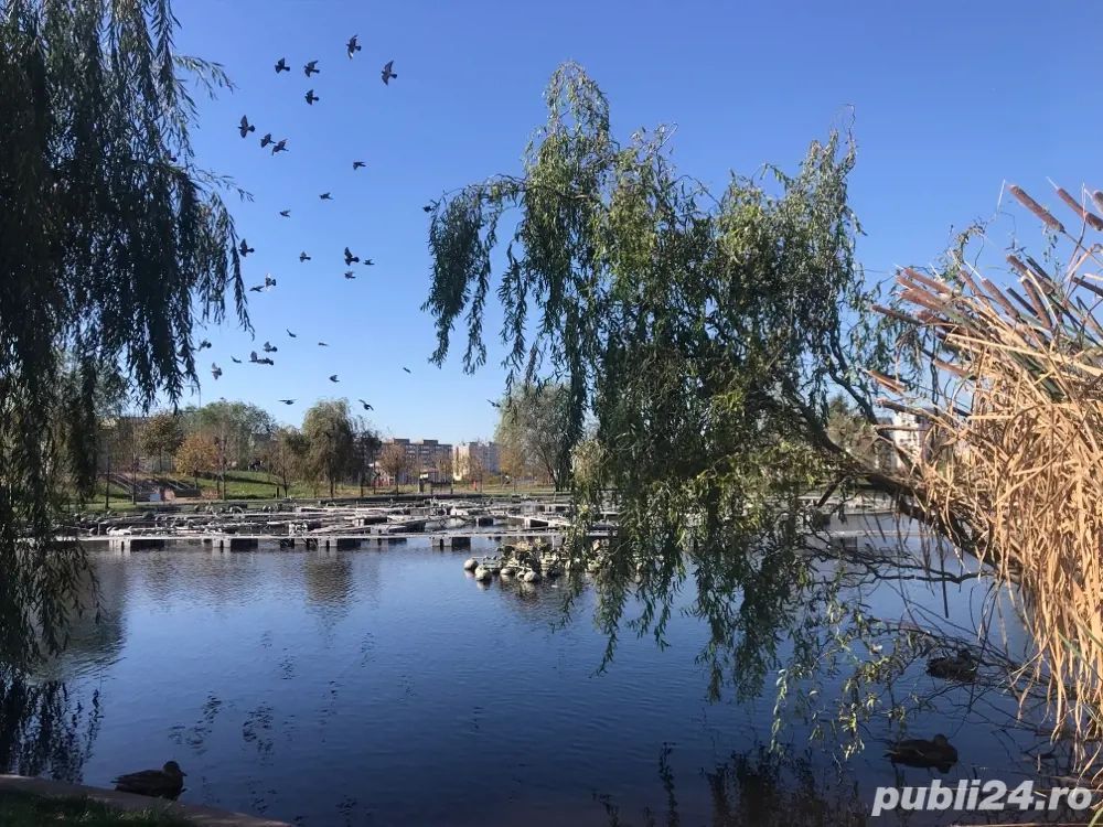 spre vanzare garsoniera spatioasa complet amenajata 1 decembrie - Poză 6