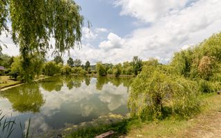 Afacere la cheie - domeniu cu lacuri de pescuit  - Sat Bunești, Com. Malureni - Poză 9