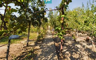 Casă cu multiple destinatii in Pârneava - Poză 10