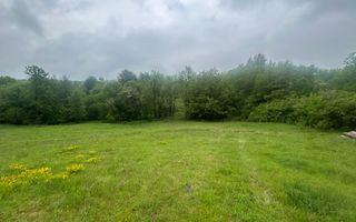 Teren Extravilan 4.572mp | Zonă liniștită | Sadu - Poză 8