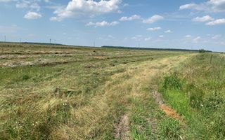 Teren pentru investitii rezidentiale, Moara Vlasiei, Caciulati, A3 - Poză 3