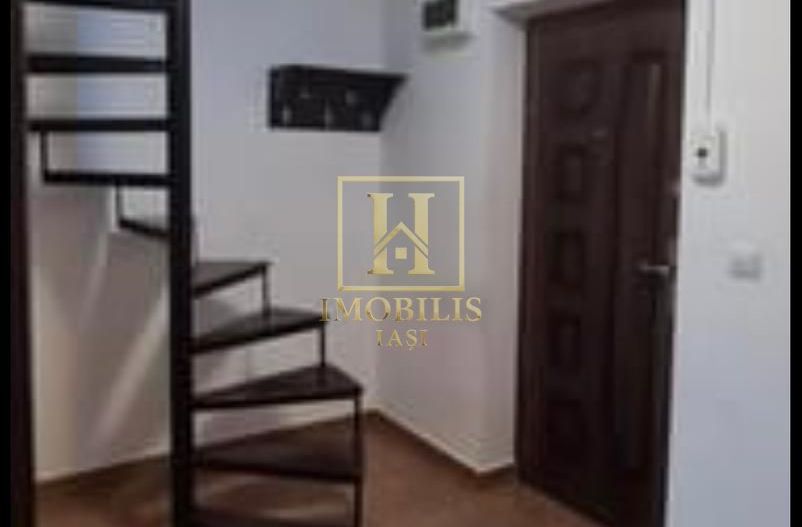 Apartament 1 camera Dec + mansarda 50 mp Nicolina Lidl 380 euro - Poză 6