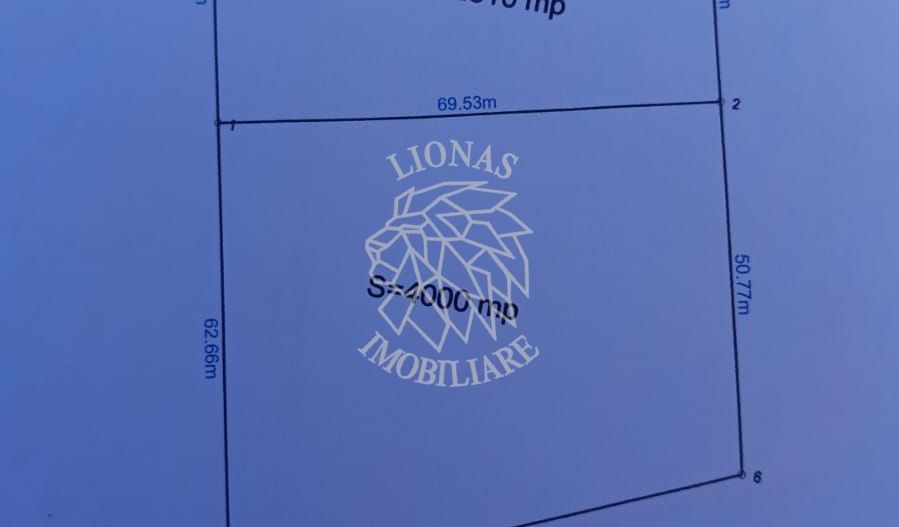 Teren intravilan 4500mp-oportunitate investitii-panoramic-Zona Wings - Poză 4