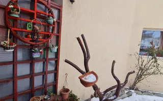 Pensiune in decor fermecator, loc de istorie si legenda, Moieciu de Jos, Bran - Poză 15