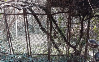 Casa zona Dacia Toamnei - Poză 6