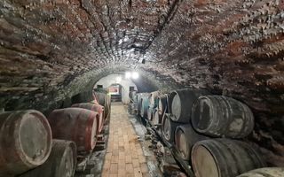 SAPIENT/TEREN INTRAVILAN 600 MP CU ANEXE ȘI PIVNITE - EPISCOPIA - Poză 7