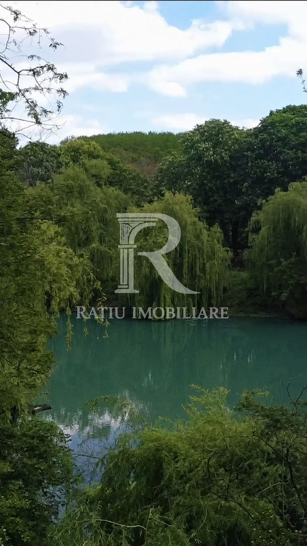 Teren cu lac | 9.000 mp | Oportunitate Investitionala - Poză 3