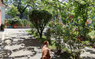 Casa de vanzare in Vladimirescu in zona primariei. - Poză 50
