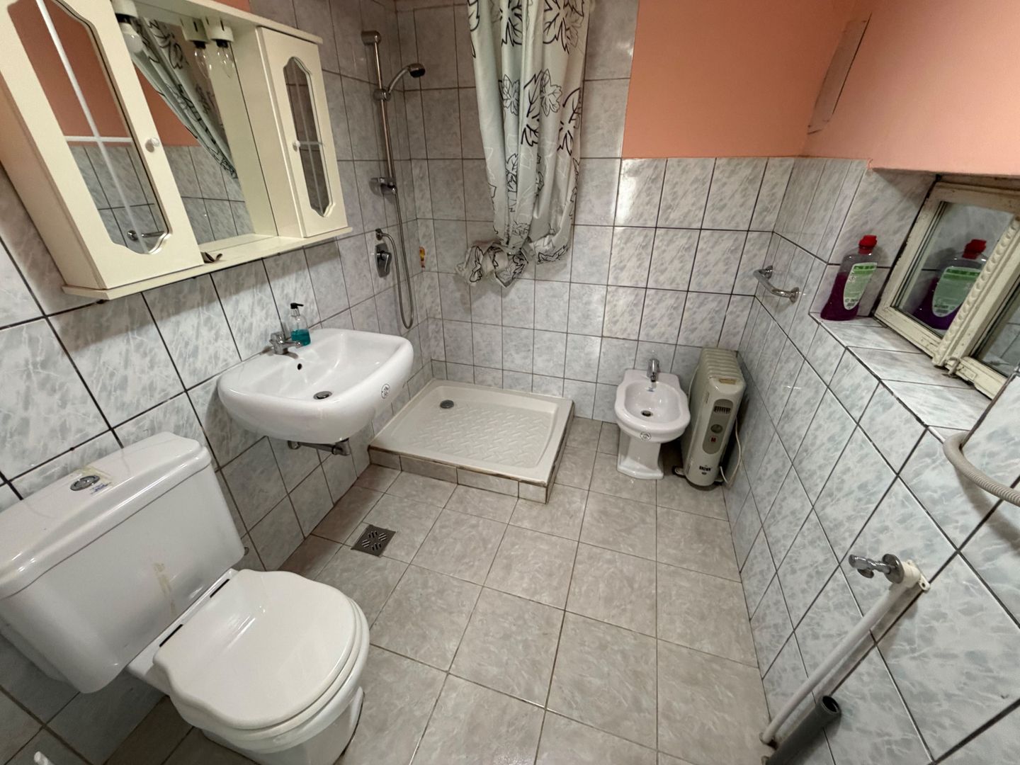 Casa de vanzare 255mp utili, 1974mp teren - Balomir - Poză 7