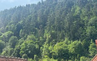 Casă renovată integral, mobilată și utilată – Șchei, Brașov - Poză 12