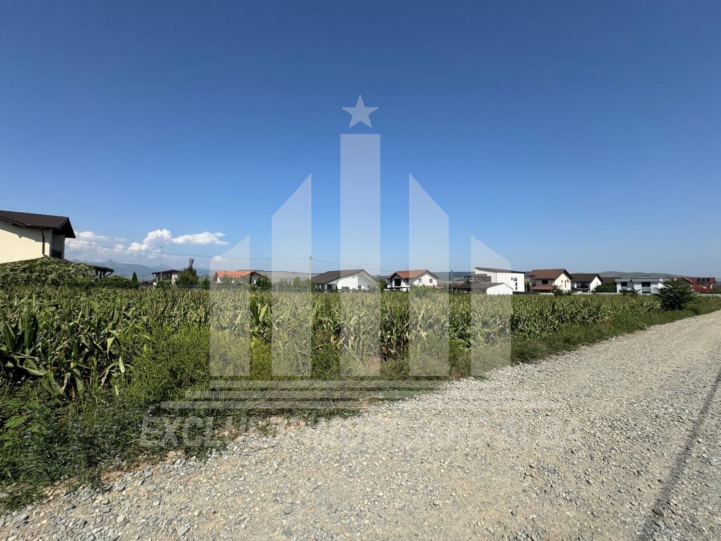 Teren intravilan de vanzare, Micesti - Poză 2