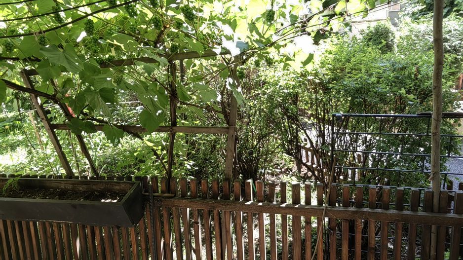 Apartament 3 camere 45 m² Romulus Cioflec - Poză 8