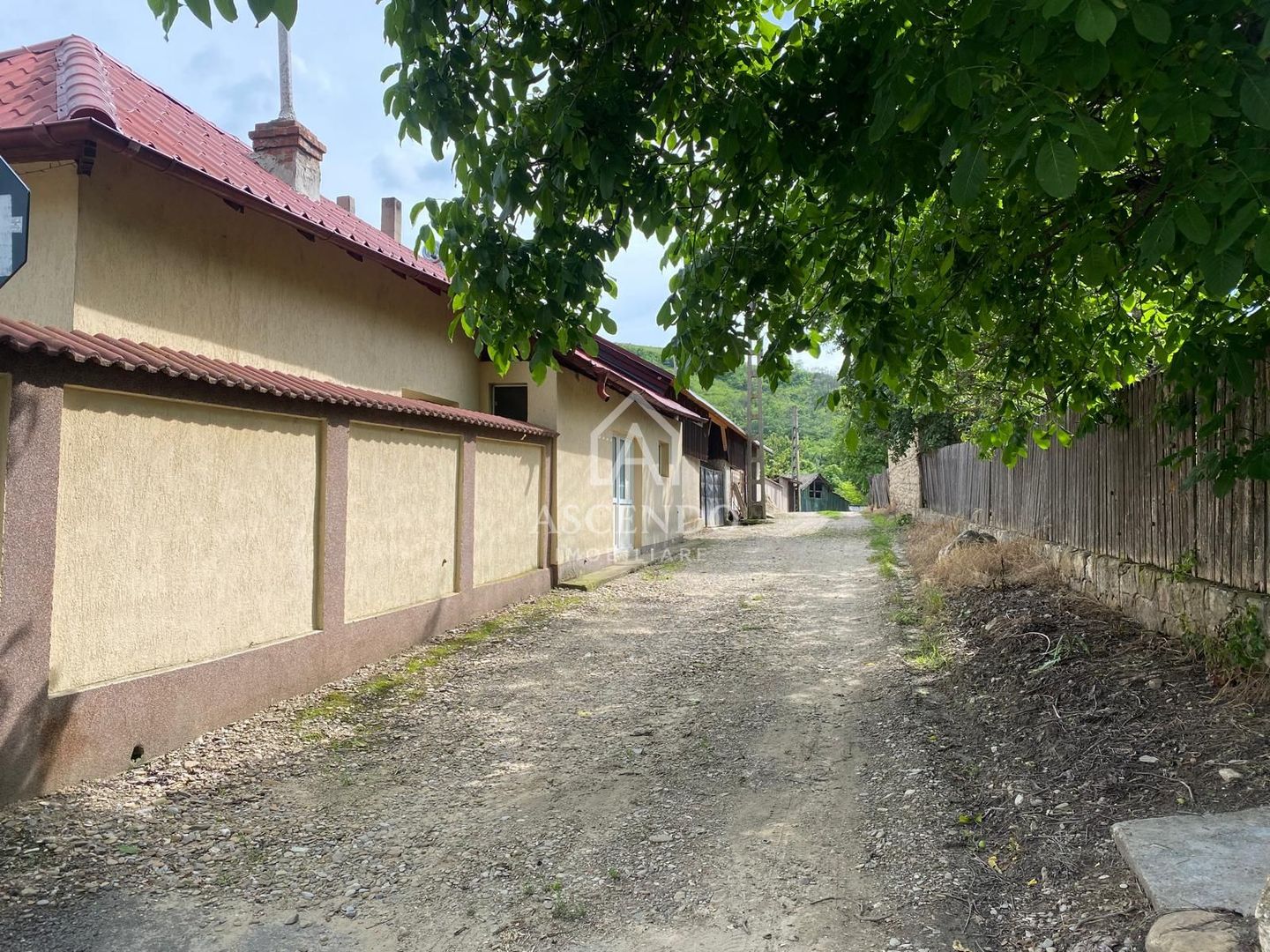 Domeniu 15.900 mp în Fințești | Casă + Investiție Dealu Mare - Poză 24
