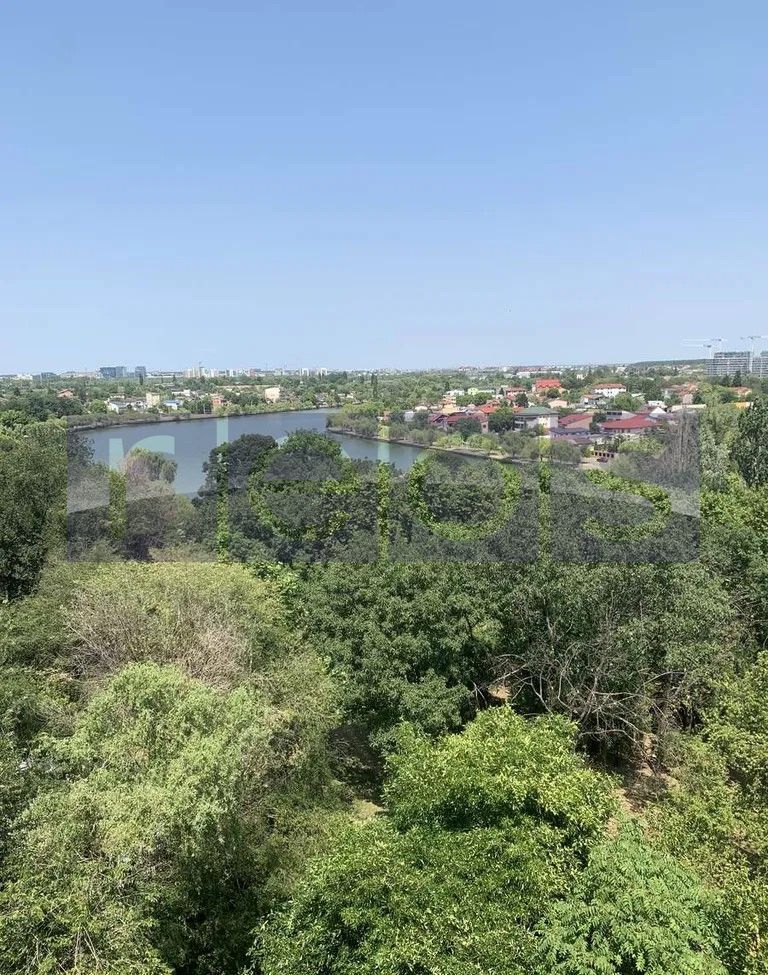 Apartament 4 camere Doamna Ghica Tei | vedere  spre Parc Plumbuita - Poză 5