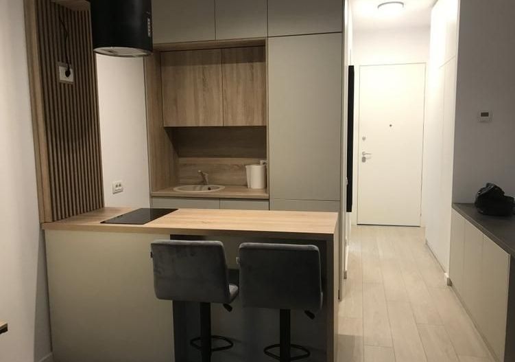 Studio ultralux  – concept exclusivist, Win Herăstrău – Cartierul Francez - Poză 3