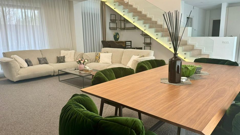 Vila complex privat Erou  Iancu Nicolae - Poză 7