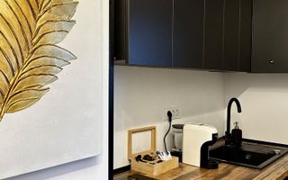 Apartament 1 cameră, zona Iulius Mall, Mărăști - Poză 4