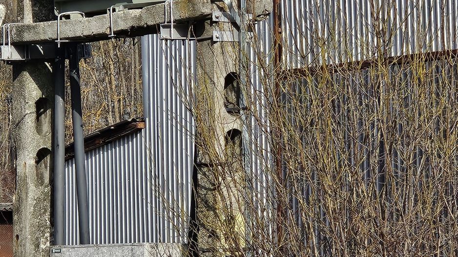 Vanzare amplasament industrial-servicii Tatarasti, Teleorman - Poză 15