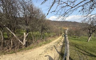 OPORTUNITATE !Teren 1 Hectar Strada Nucului -PRIVELISTE PANORAMICA - Poză 6