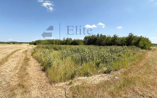 Teren intravilan 1114 mp Sanmartin - Poză 5