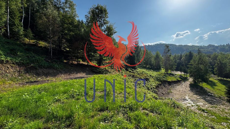 18000 mp de natura pura ,Lupeni, langa Straja - Poză 13