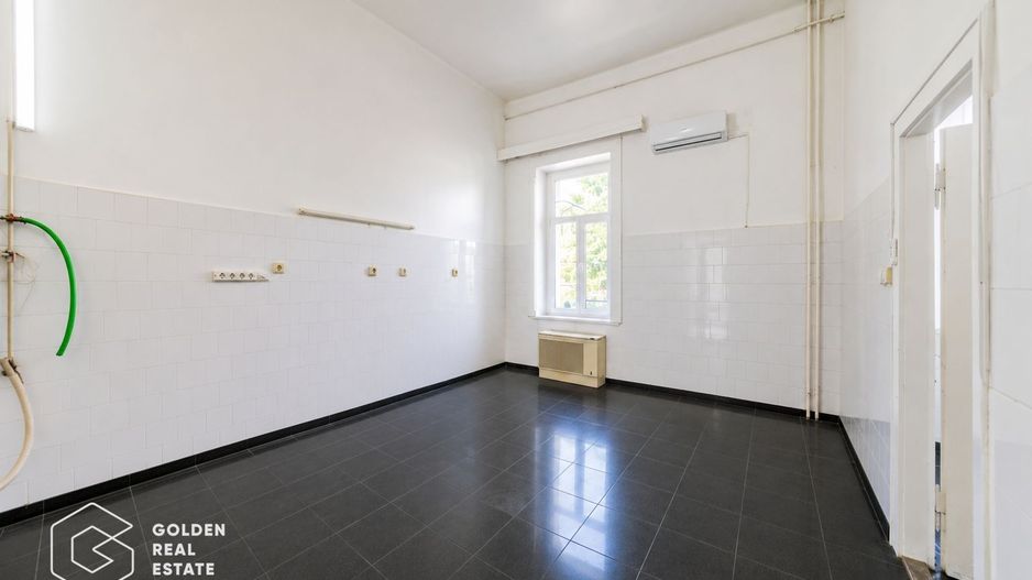 Cabinet medical, 200mp, parter+subsol-Policlinica Speciala, Boul Rosu - Poză 5