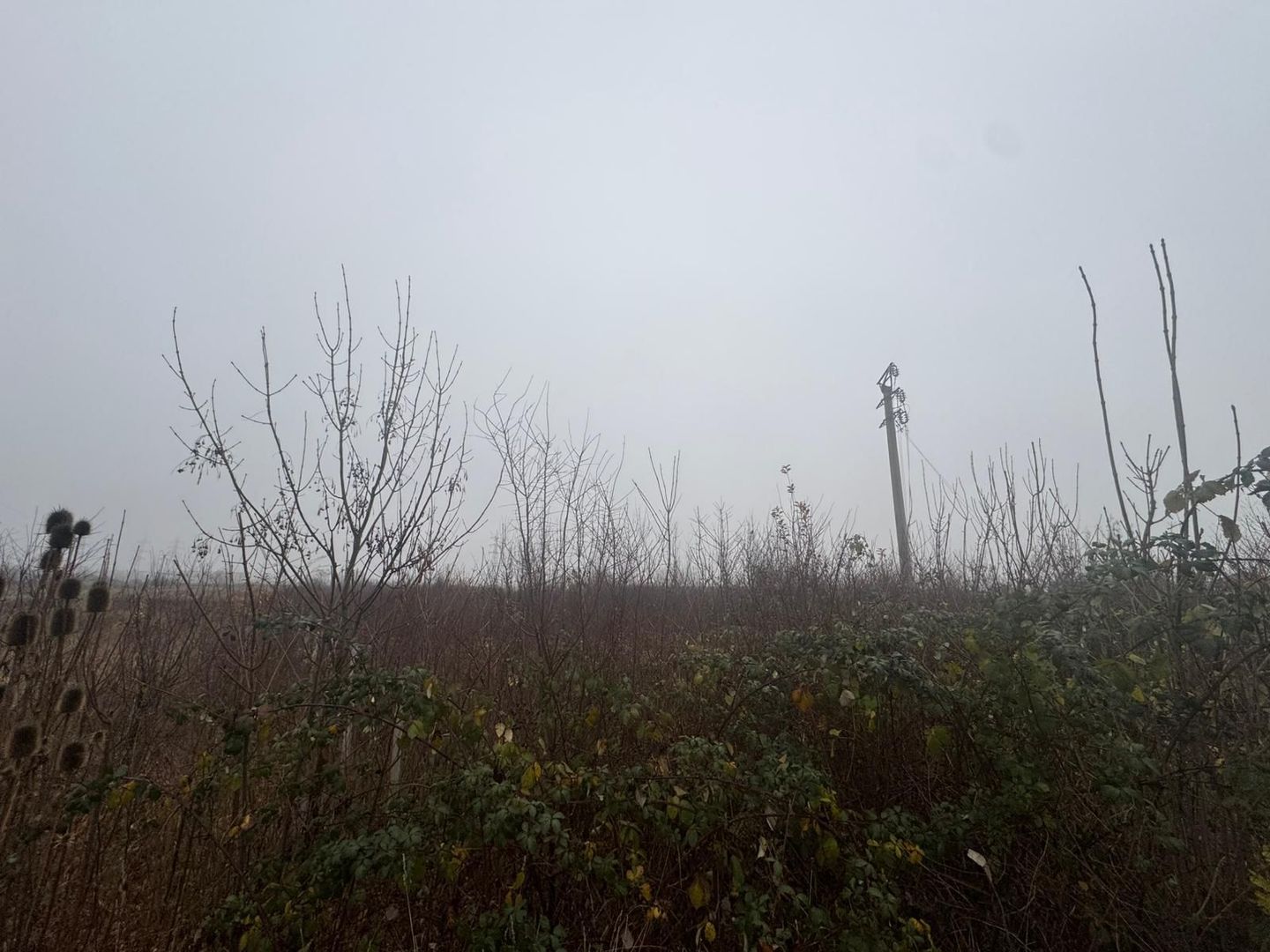 COMISION 0 | Teren intravilan | 17.700 mp | Zona Freidorf - Poză 2