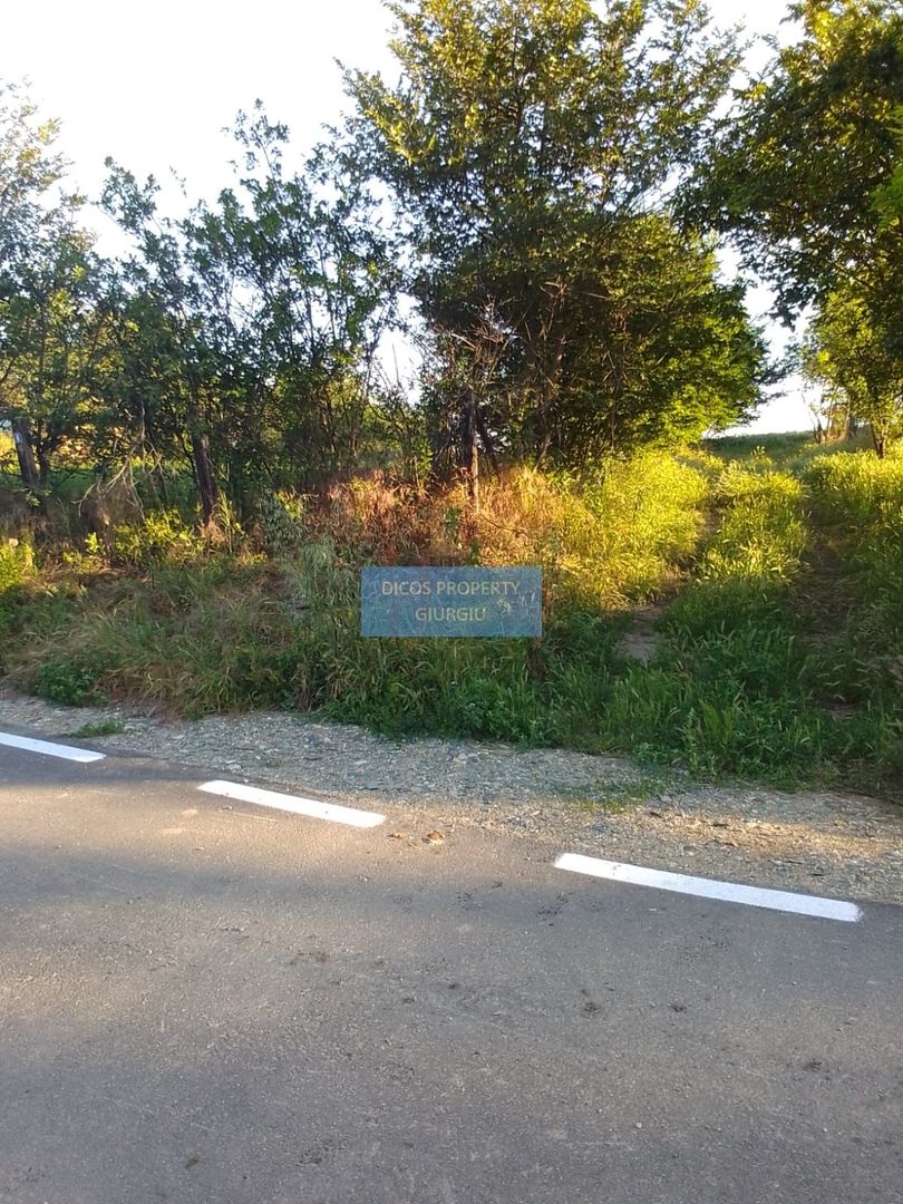 Teren intravilan 2.500 mp – Vieru, Giurgiu - Poză 3