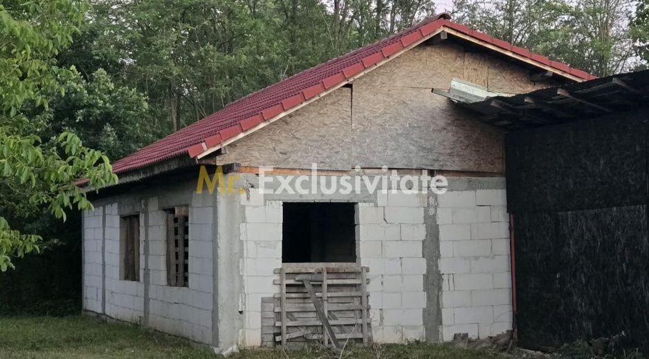 Casă cu 7.769 mp teren și pădure | Budieni | 53.000€ - Poză 8