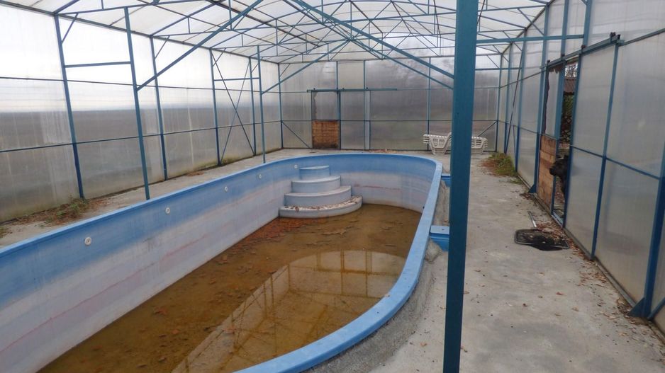 Proprietate deosebita - casa cu curte si livada - Poză 8