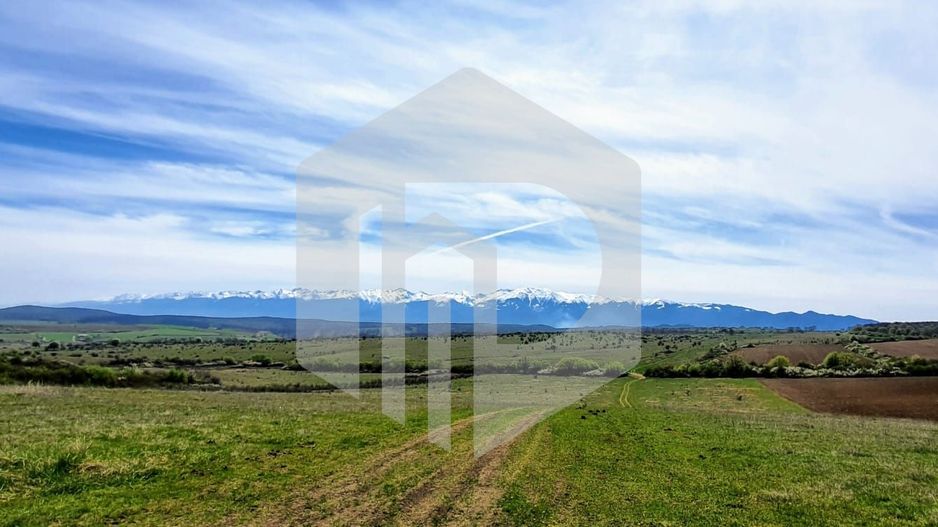 Teren Extravilan  | 11500MP | Zona Zorabia | 0% COMISION - Poză 1