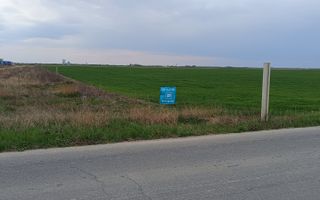 Teren extravilan 5 hectare ( zonă industrială ) Șag - Poză 10