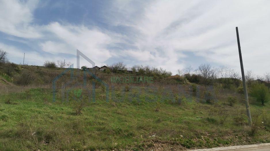 Teren intravilan 5400 mp, Valea Lupului – utilitati si acces rutier - Poză 2