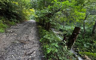 18000 mp de natura pura ,Lupeni, langa Straja - Poză 12