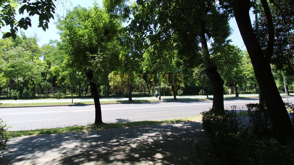 Medicina - Iulius Mall, dormitor cu pat matrimonial. - Poză 21