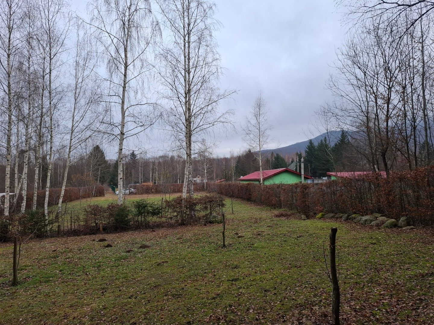 Teren intravilan, livada, langa padure,  pe Valea Avrigului - Sibiu - Poză 5