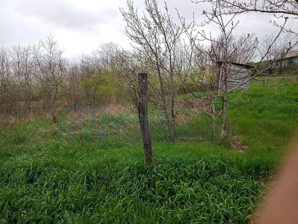 Casă și teren în Sat Cuza Vodă, comuna Popricani - Poză 2
