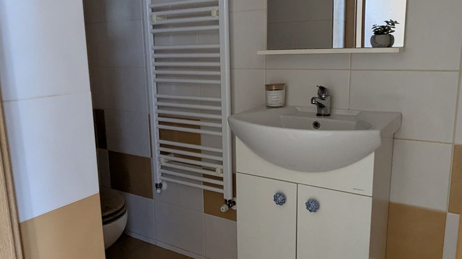 Penthouse, 100 mp utili, 50 mp terase - Poză 3