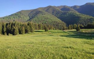 Teren PIATRA FANTANELE - 11.800 mp- ideal investitie, pensiune, hotel - Poză 3