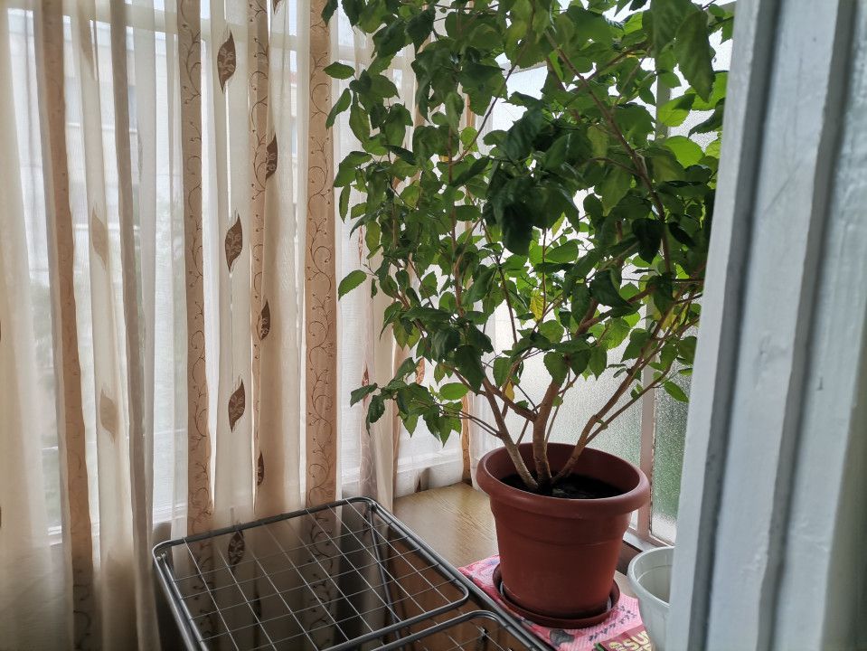 Vanzare apartament 2 camere, Banat - Poză 7