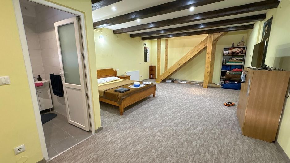 Casă de vanzare 6 camere 220 m² utili cu 376 M² teren la șosea - Poză 5