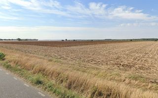 Teren extravilan localitatea Nuci, Ilfov - Poză 1