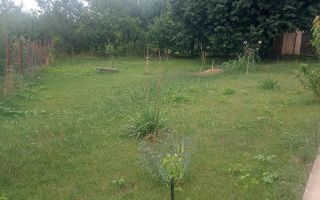 Casă duplex din lemn, Zona Păun Bârnova, vedere panoramică - Poză 7