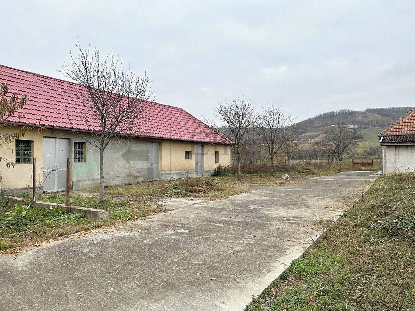 Casa cu 3 Hale si teren 8000 mp in Ulileacu de Cris, Bihor - Poză 7