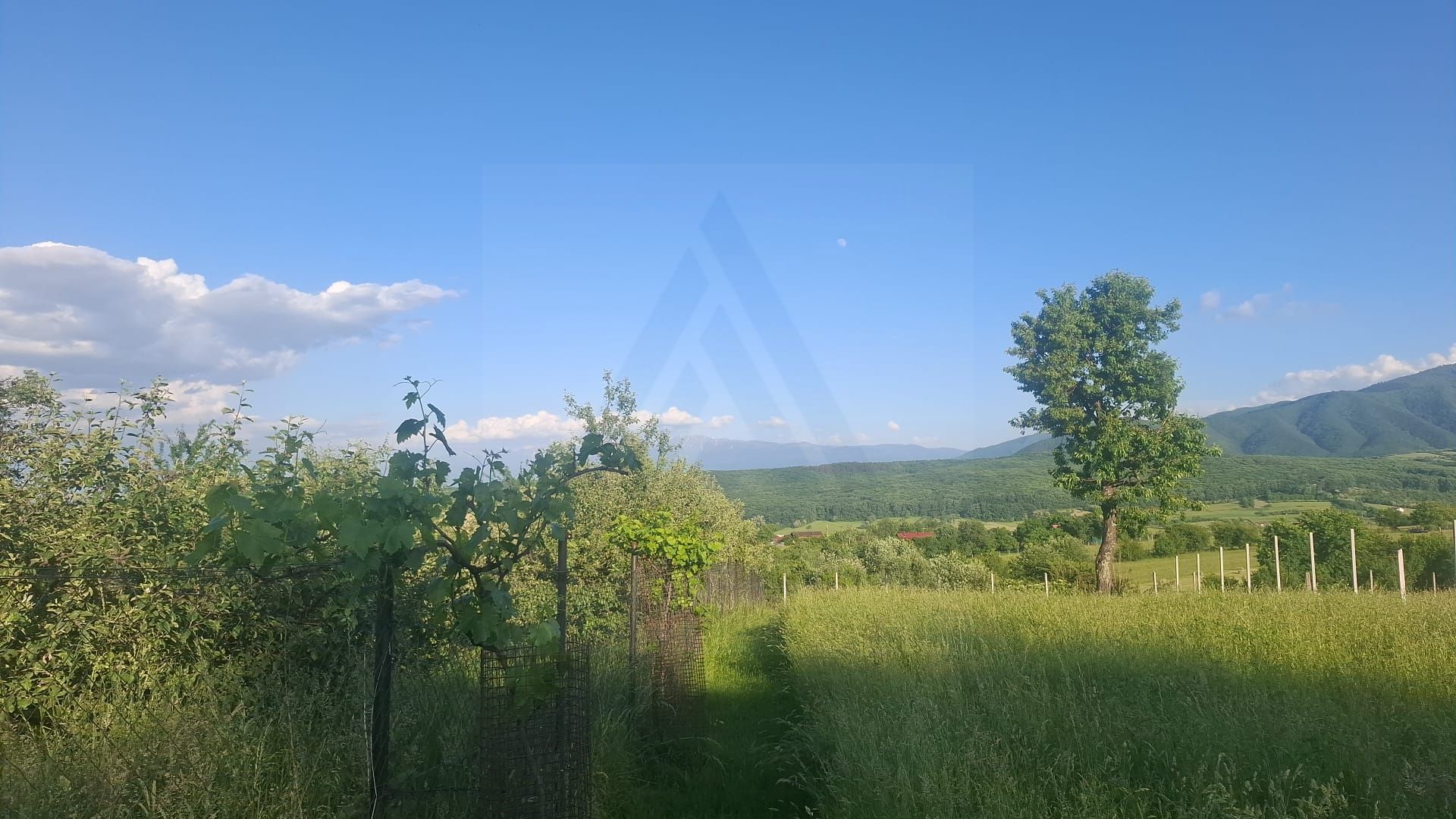 Teren intravilan 809 mp cu deschidere 14 m în Tropinii Noi - Poză 4