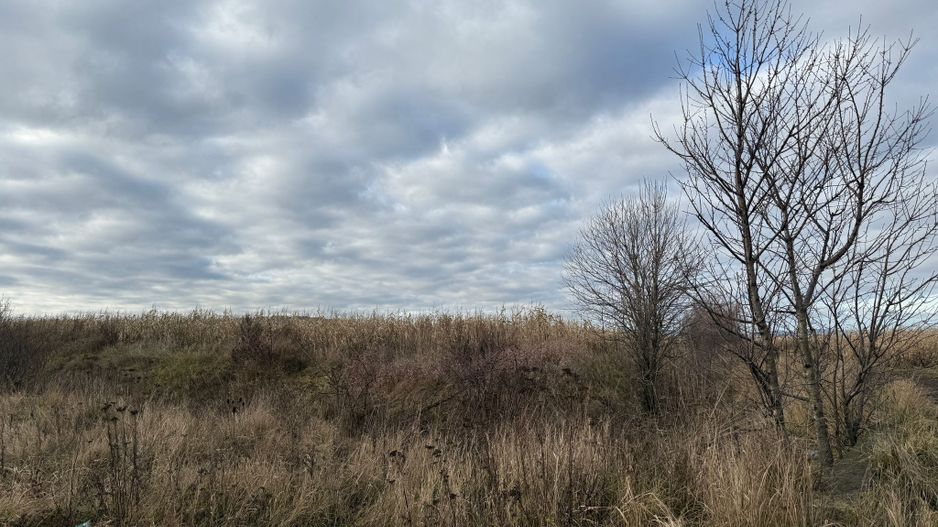 VAND TEREN 46 ARI | VOLOVAT | 47.000 EURO | - Poză 9