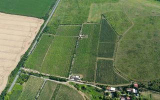 Vie Tradițională „Halta Lupilor” - Poză 38